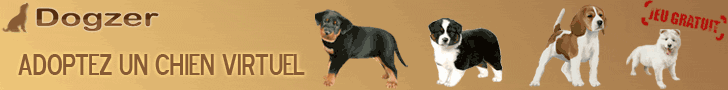 Essayez le jeu de chien, Dogzer - Elever votre berger allemand virtuel sur internet